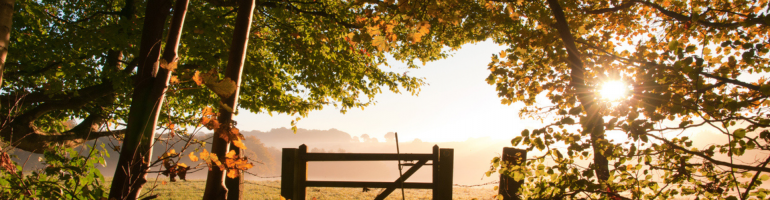How To Live Off Grid